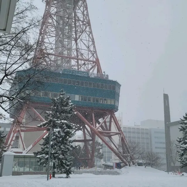 일본 삿포로 여행 삿포로 TV탑