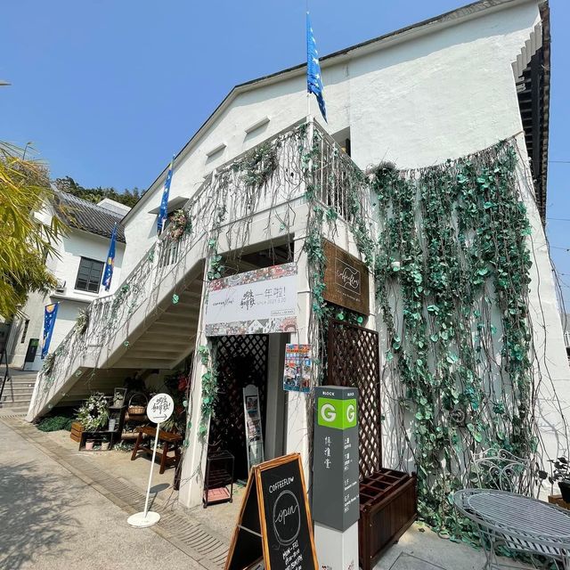 饒宗頤文化館🪷香港🇭🇰文青好去處👏🏻