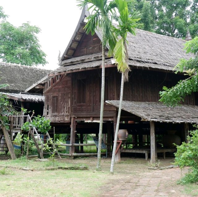 หมู่บ้านอนุรักษ์ควายไทย  🐃
