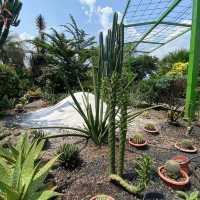The secret garden in One Utama mall