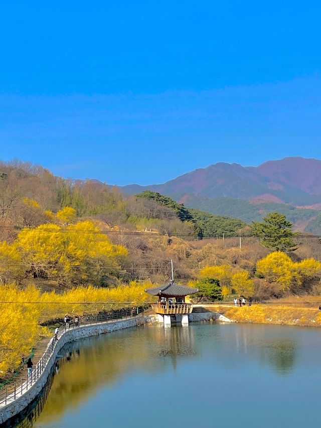 주말에도 사람 없는 꽃놀이 스팟을 원해? 그렇담 바로 여기💛