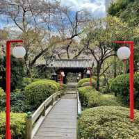 グランドプリンスホテル高輪の日本庭園でお花見