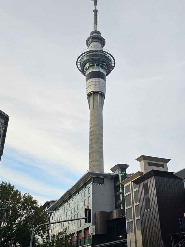 Tallest building in New Zealand