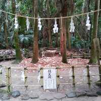 宮崎県「青島神社」海とジャングルのパワースポット