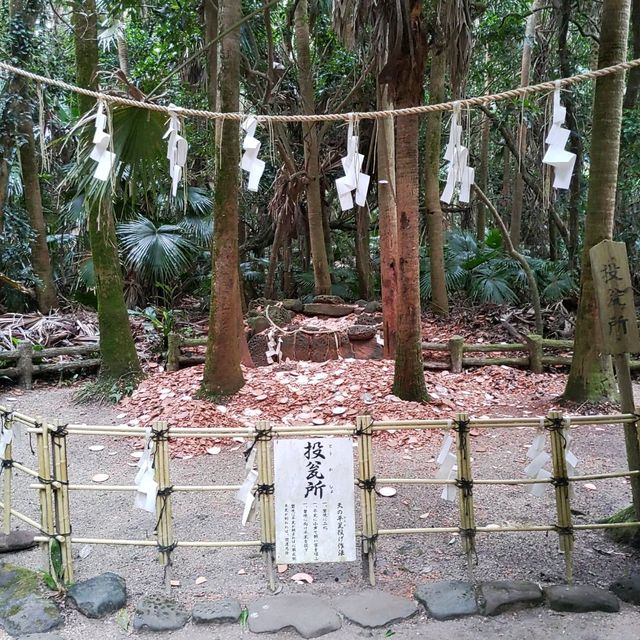 宮崎県「青島神社」海とジャングルのパワースポット