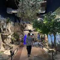 สถาบันวิทยาศาสตร์ทางทะเล มหาลัยวิทยาบูรพา #บางแสน