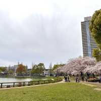 一個好有外國氣息而且好寧靜既賞花公園
