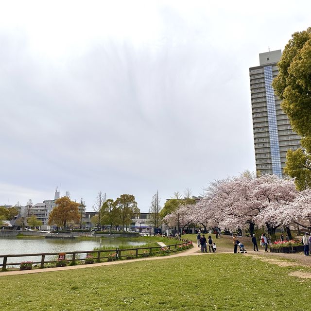 一個好有外國氣息而且好寧靜既賞花公園
