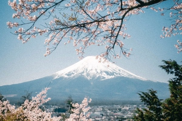 Mount Fuji: Japan's Tallest and Most Sacred Mountain - World