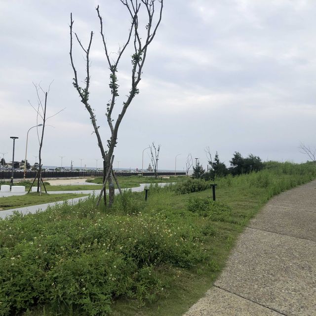 望海步道草地區