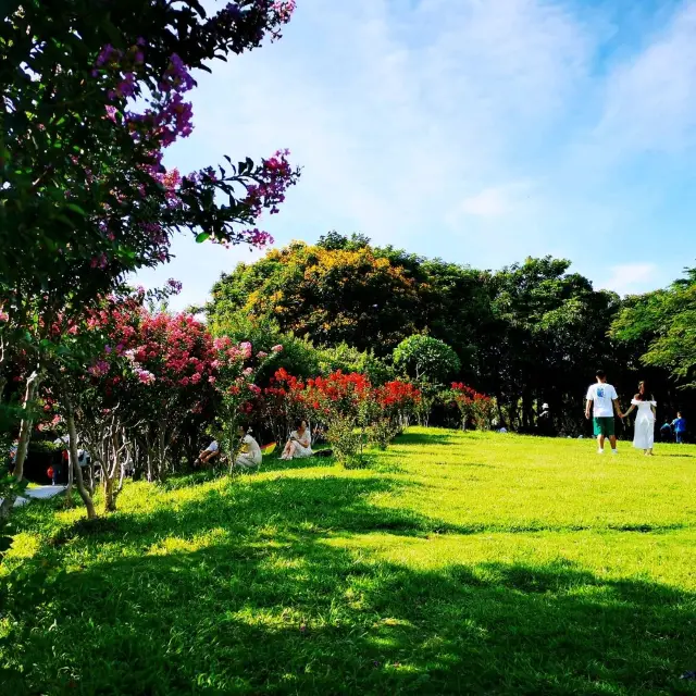 深圳灣公園• 濱海休閒帶