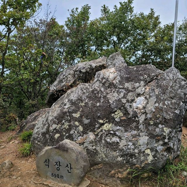 두근두근여름휴가 대전 식장산 정상
