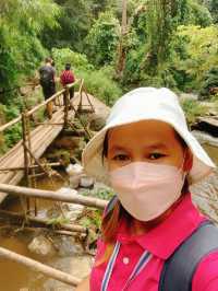 Doi Inthanon / ดอยอินทนนท์ 