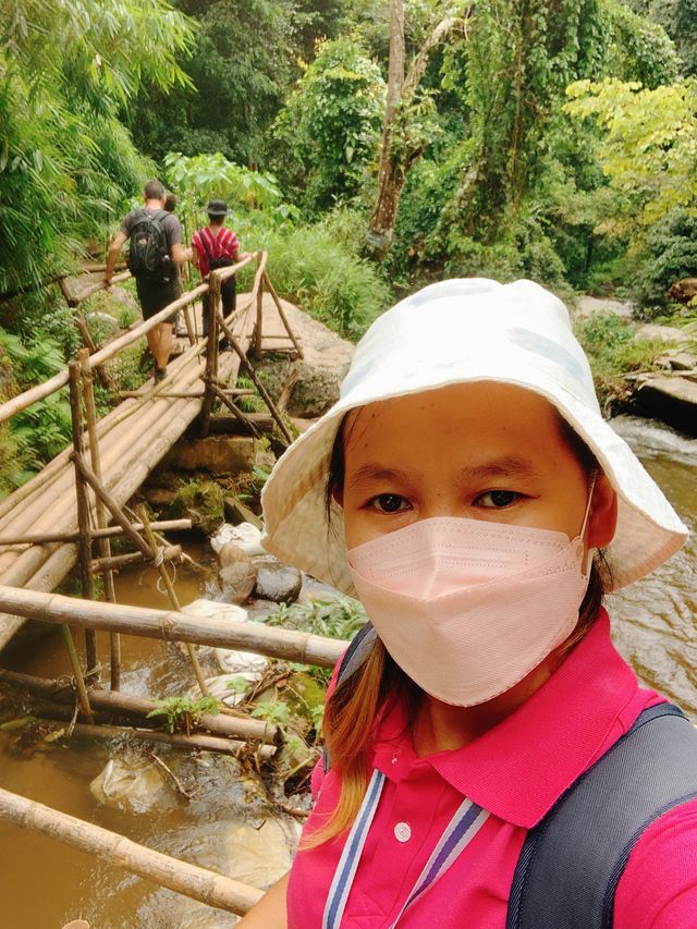 Doi Inthanon / ดอยอินทนนท์ 