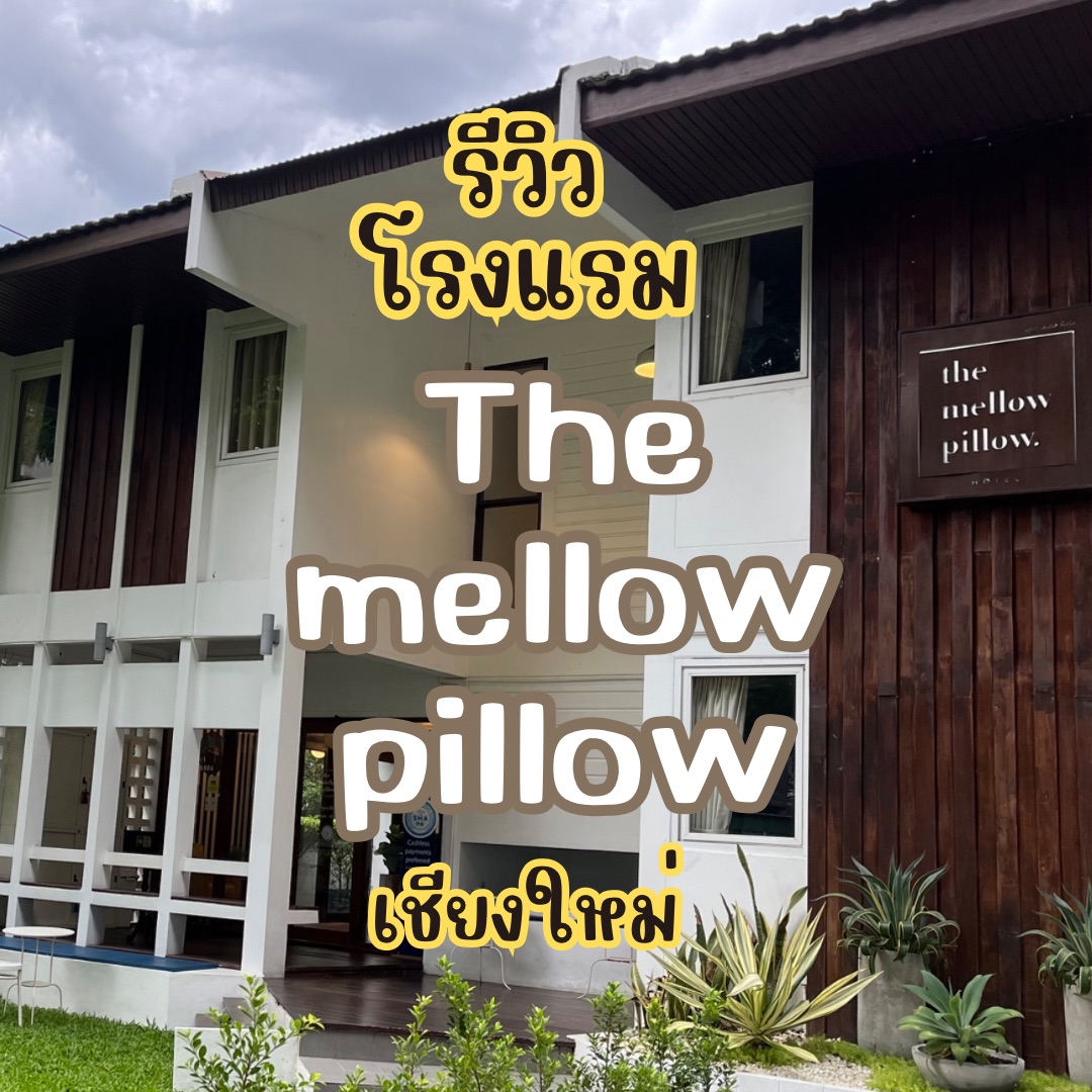 The mellow pillow sales
