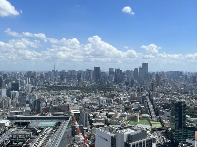 東京一日遊安排❤️必到澀谷