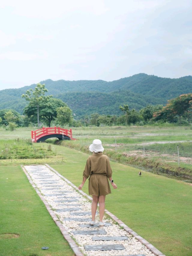 คาเฟ่ห้องใต้หลังคา | โทนขาวเขียว สุดมินิมอล 🌿