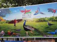 Malacca Bird Park ✨