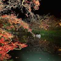 【京都観光】永観堂の紅葉ライトアップ🍁