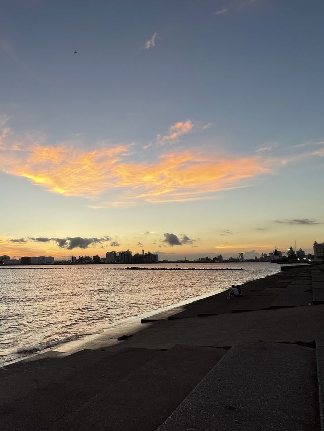 羽田空港近郊千葉海港塔～散步看海放輕鬆