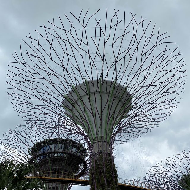 [Explore Singapore] Gardens of Your Dreams