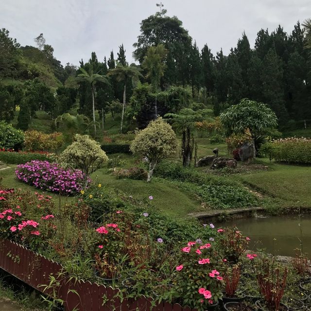 สวนไม้ดอกเมืองหนาวเบตง (สวนหมื่นบุปผาเบตง)