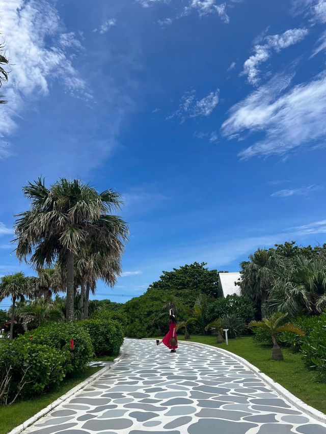 フォトジェニックで魅力的な島🏝