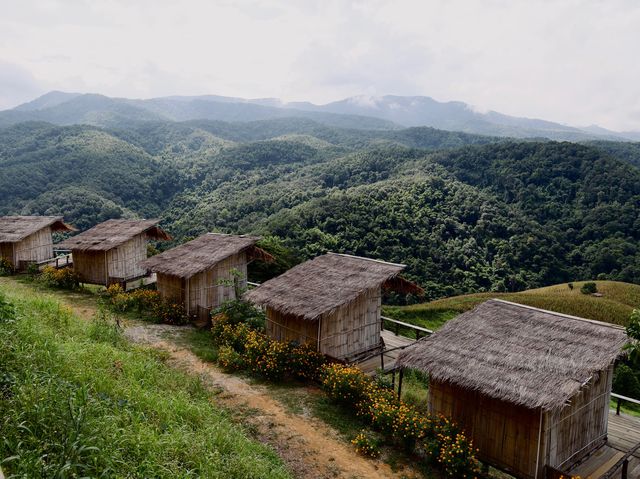 ไร่ลุงลอน : 𝐜𝐚𝐦𝐩𝐢𝐧𝐠 𝐢𝐬 𝐥𝐢𝐟𝐞 จ.แพร่⛰️
