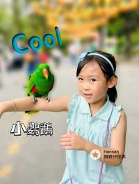 深圳動物園攻略