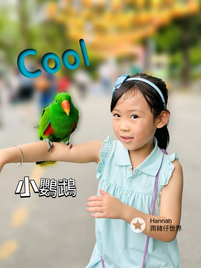 深圳動物園攻略