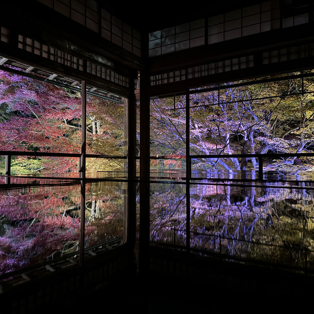 【京都】絶景！瑠璃光院の紅葉