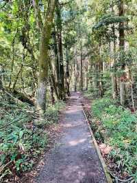 【山形県/丸池神社】2023年行ってよかった！山形県の神社③