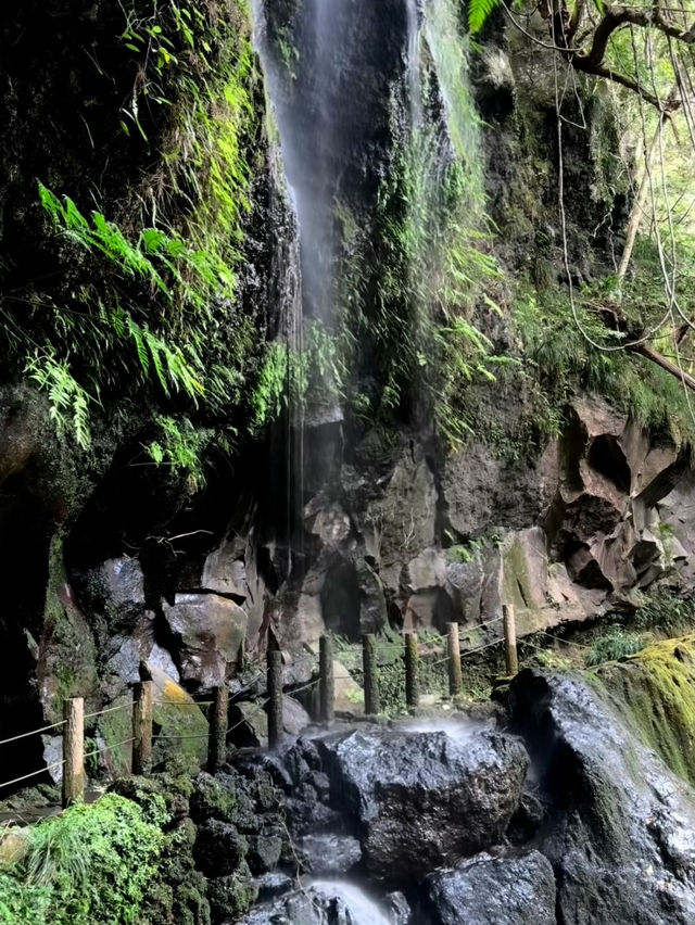 【絶景】滝を裏側から見られる珍しいスポット🐉