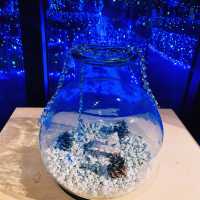 【神奈川県/江の島　関東三大イルミネーション”湘南の宝石💎”】