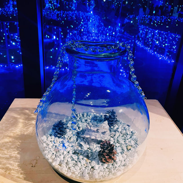 【神奈川県/江の島　関東三大イルミネーション”湘南の宝石💎”】