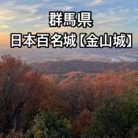 群馬県の日本百名城、金山城