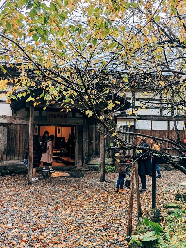 🇯🇵日本東北👣 秋田縣角館武家屋敷🍁