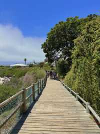 Boulders Beach : Simon's Town หาดแพนกวิ้น