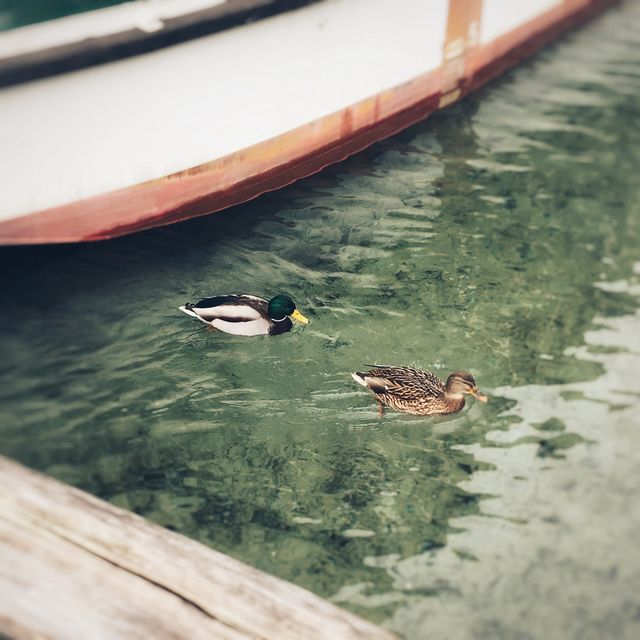 プリトヴィッツェ湖畔国立公園