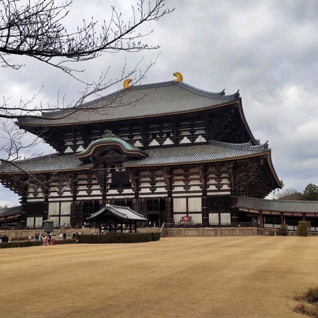 3天2日奈良旅遊呀~ #歷史建築#舊古都
