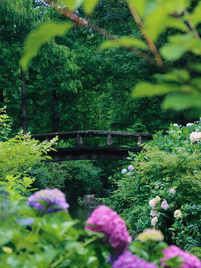 【撮影スポット】長居植物園｜大阪