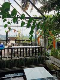 หลงดอย ⛰️☕️🌳🥓