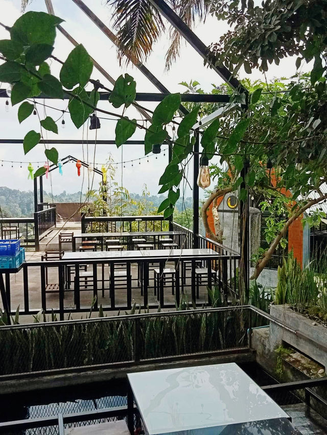 หลงดอย ⛰️☕️🌳🥓