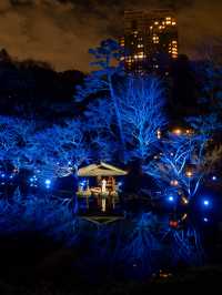 【無料で楽しめる！✨】八芳園のブルーライトアップがとても幻想的！😳✨