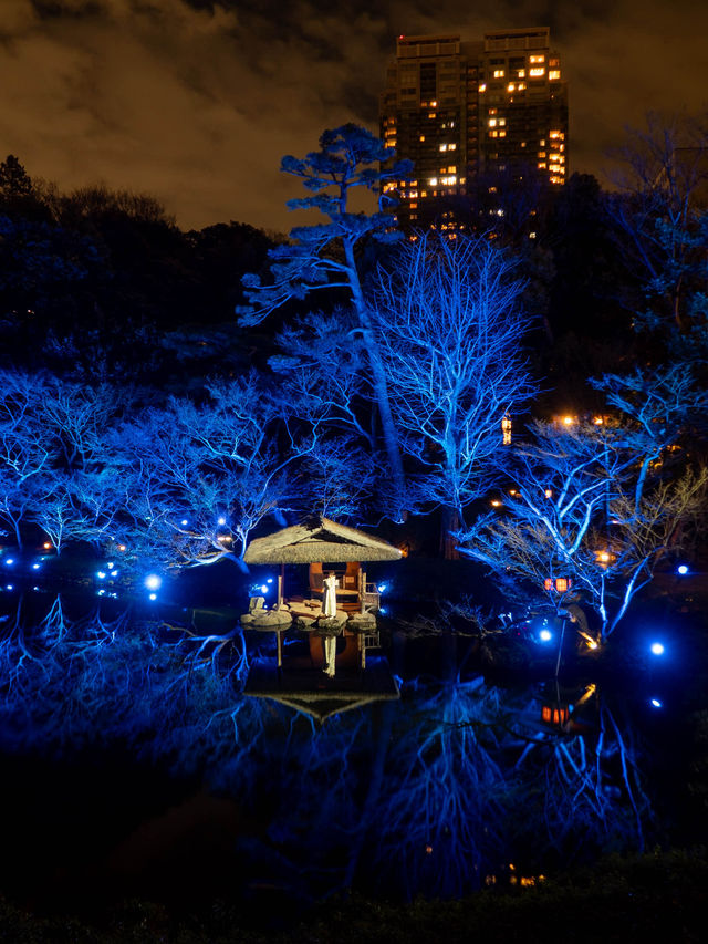 【無料で楽しめる！✨】八芳園のブルーライトアップがとても幻想的！😳✨