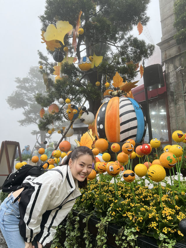 Ba Na Hills เวียดนาม เมืองแห่งสายหมอก