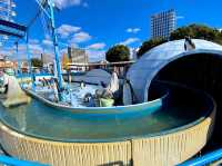 Nagoya Port Sea Train Land