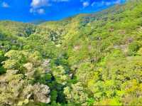 Yanbaru National Park