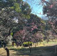 【都会の真ん中に自然★】小石川後楽園