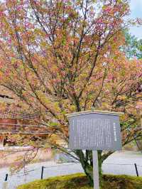 【金沢】縁結びに必勝祈願に！和洋折衷の美しい神門を持つ尾山神社⛩